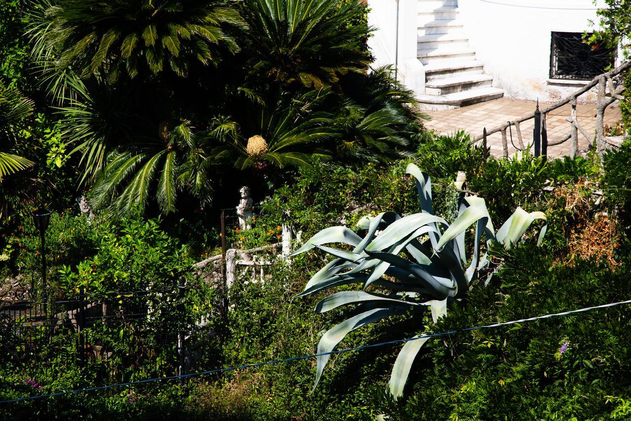 Apartamento San Rocco Flexyrent - Parking - WiFi Rapallo Exterior foto