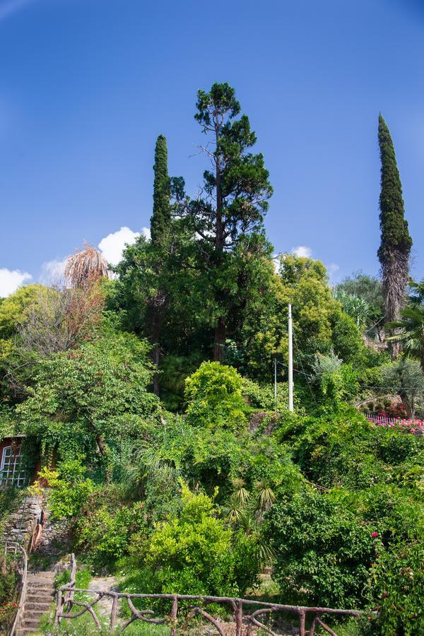 Apartamento San Rocco Flexyrent - Parking - WiFi Rapallo Exterior foto
